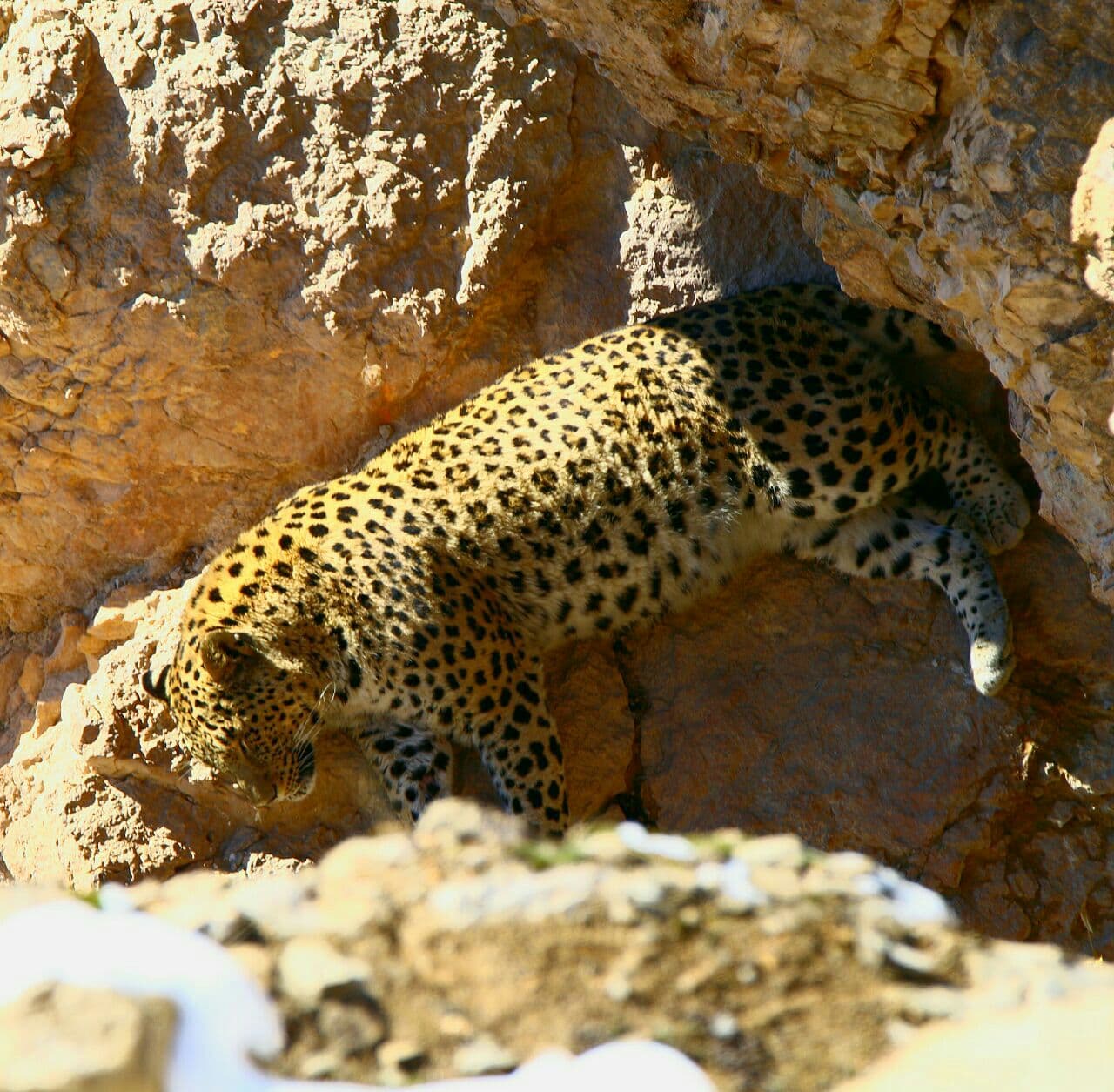 Ø®ÙˆØ§Ø¨ Ø³Ù†Ú¯ÛŒÙ† Ø¨Ø¹Ø¯ Ø§Ø² Ø´Ú©Ø§Ø±