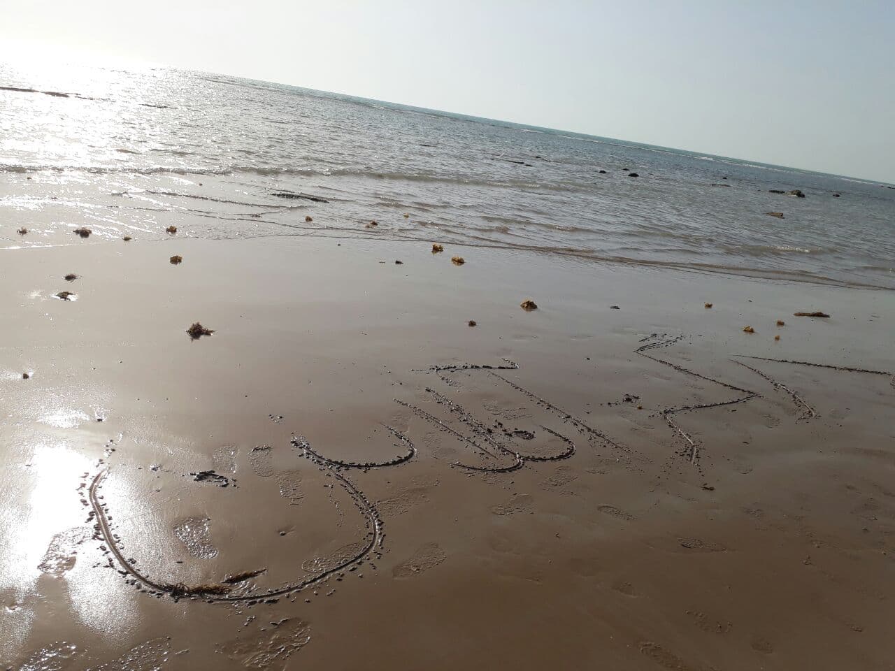 Ø¯Ø±Ú¯Ø²Ø¢Ù†Ù„Ø§ÛŒÙ† Ø¯Ø± Ø³ÙˆØ§Ø­Ù„ Ø¨ÙˆØ´Ù‡Ø±